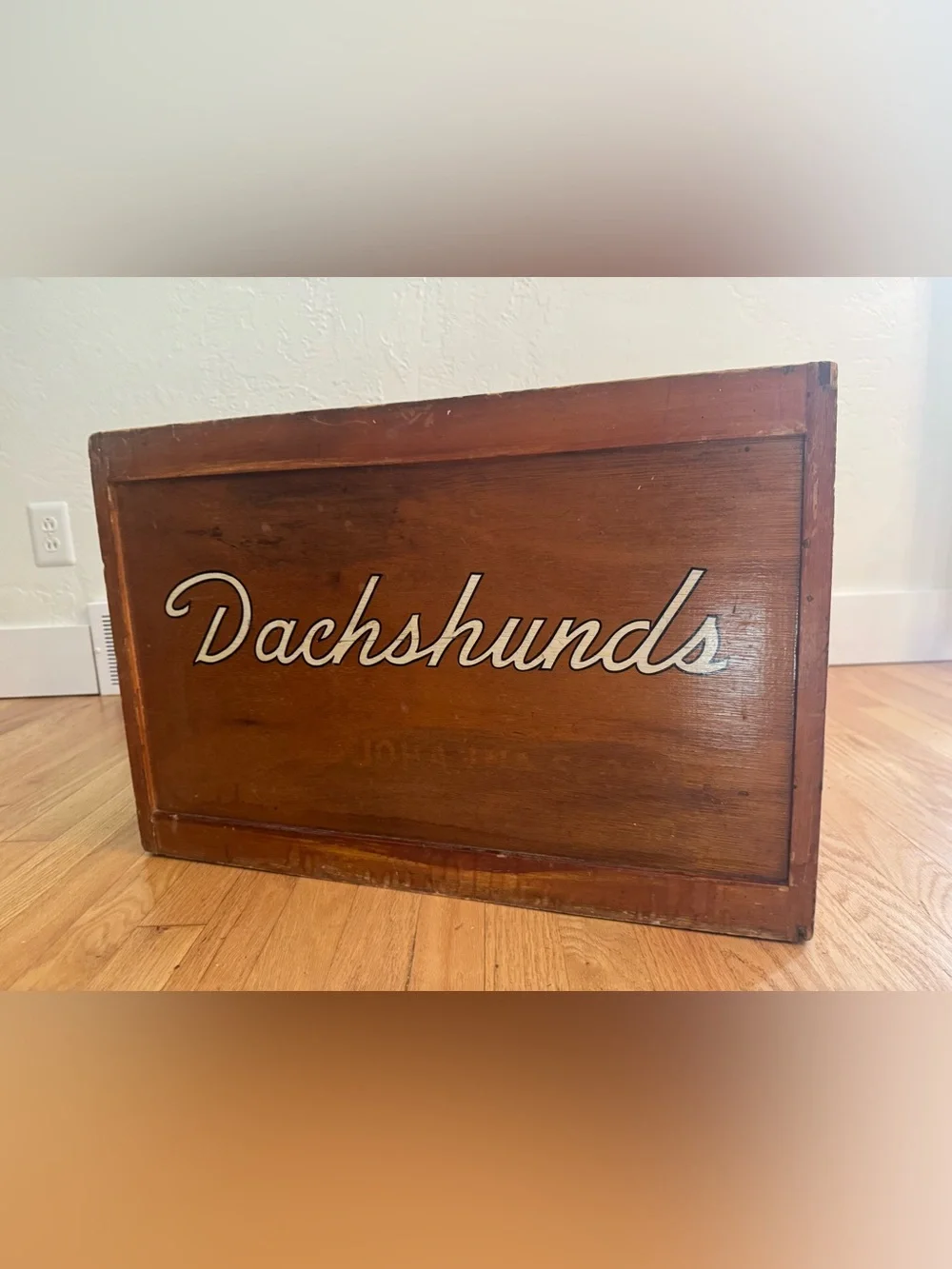 N/A dachshund carrier